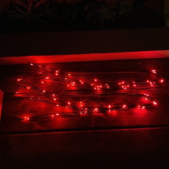 Pottery Barn LED Lit Firework Cascade Branch in Bright Red with Timer - Picture 7 of 17
